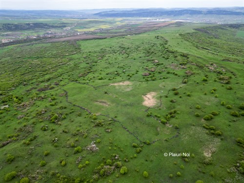 Drone picture